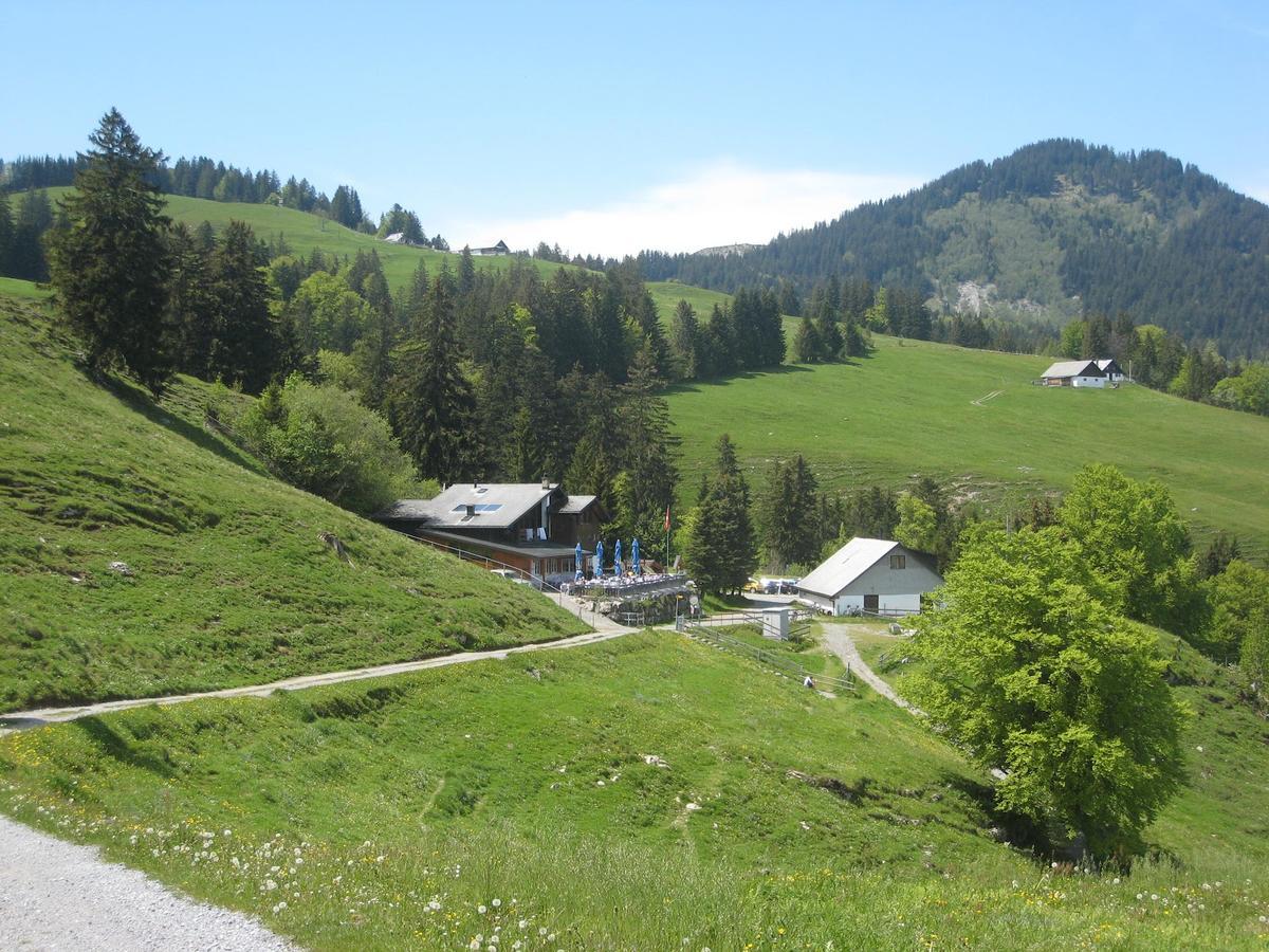 Montlinger Schwamm Hotel Oberriet Esterno foto